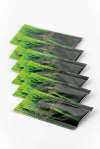 Barley Grass &ndash; Kesice
