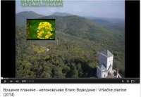 Vršačke planine – neponovljivo blago Vojvodine (VIDEO)