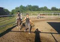Vrščani, evo kako da naučite jahanje konja (VIDEO)